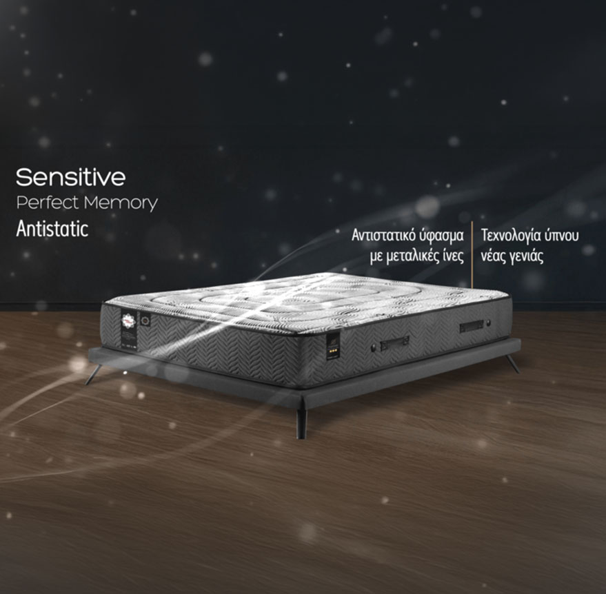 Sensitive Perfect Memory Antistatic